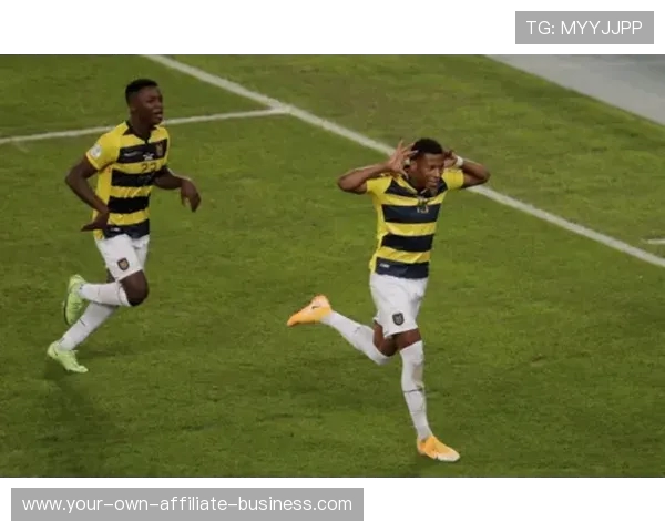 美洲杯最新赛况全面回顾与精彩战果分析