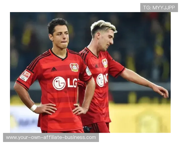 德甲赛场效率解析与球队战术表现研究